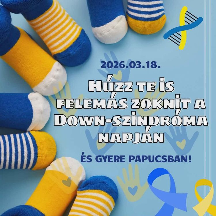 Népszerű hír